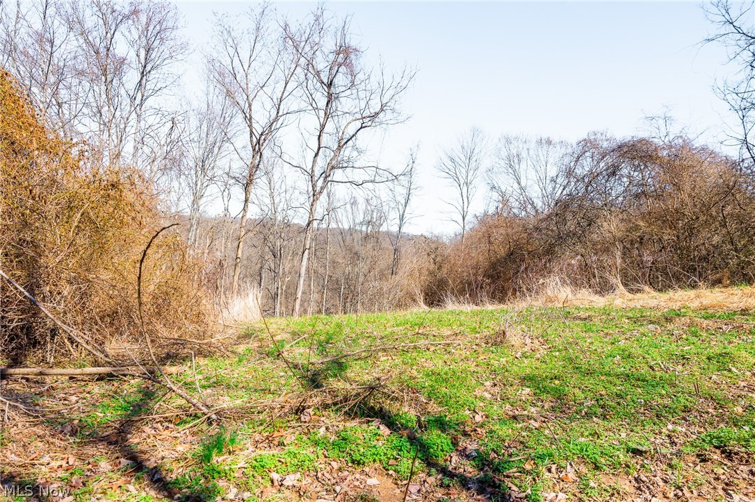 Sheepskin Ridge Road Lower Salem OH 45745