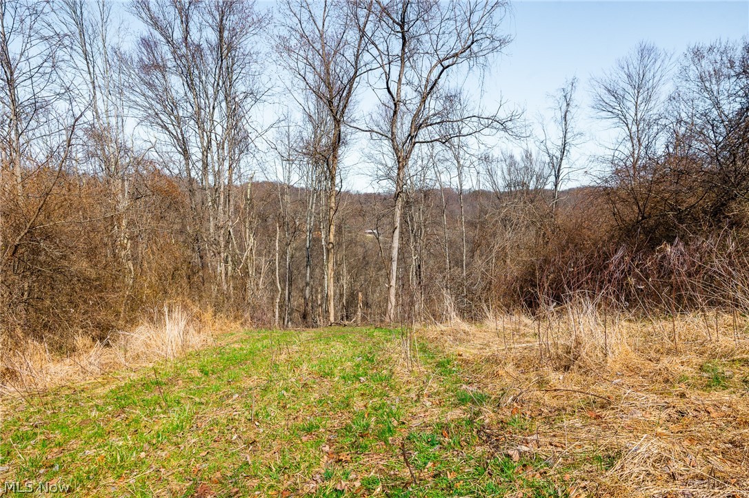 Sheepskin Ridge Road Lower Salem OH 45745