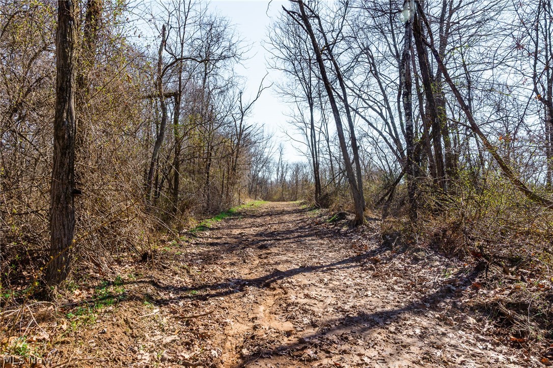 Sheepskin Ridge Road Lower Salem OH 45745