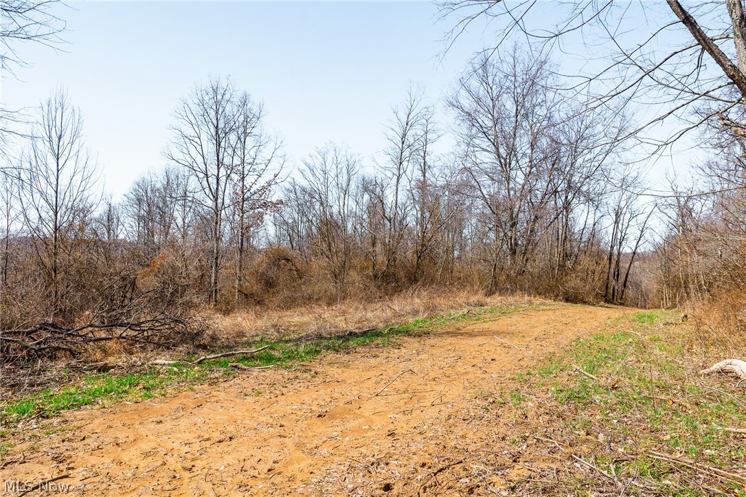 Sheepskin Ridge Road Lower Salem OH 45745