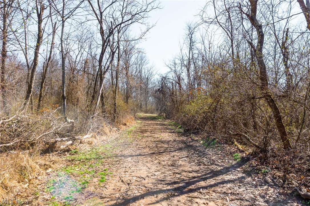 Sheepskin Ridge Road Lower Salem OH 45745