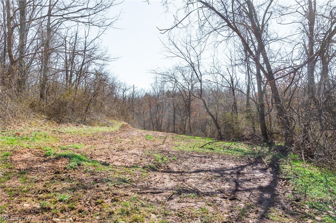 Sheepskin Ridge Road Lower Salem OH 45745