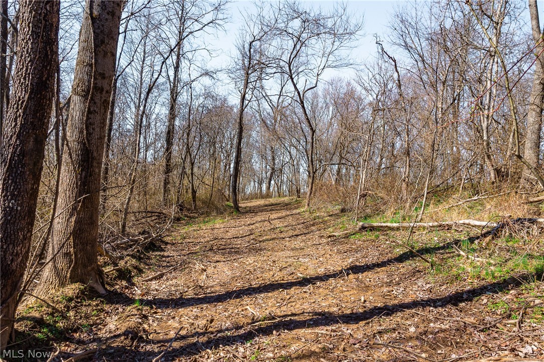 Sheepskin Ridge Road Lower Salem OH 45745