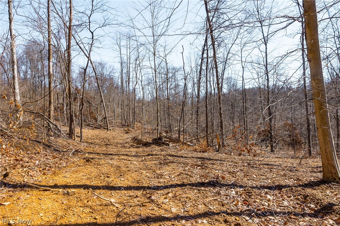 Sheepskin Ridge Road Lower Salem OH 45745