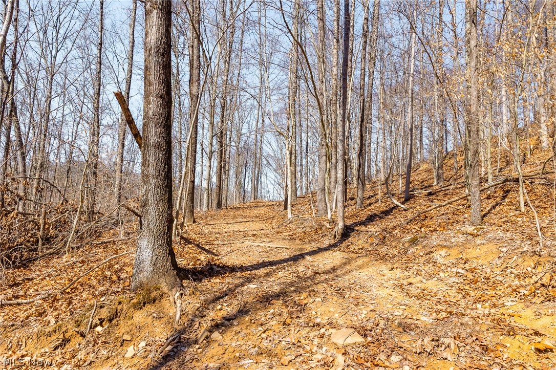 Sheepskin Ridge Road Lower Salem OH 45745
