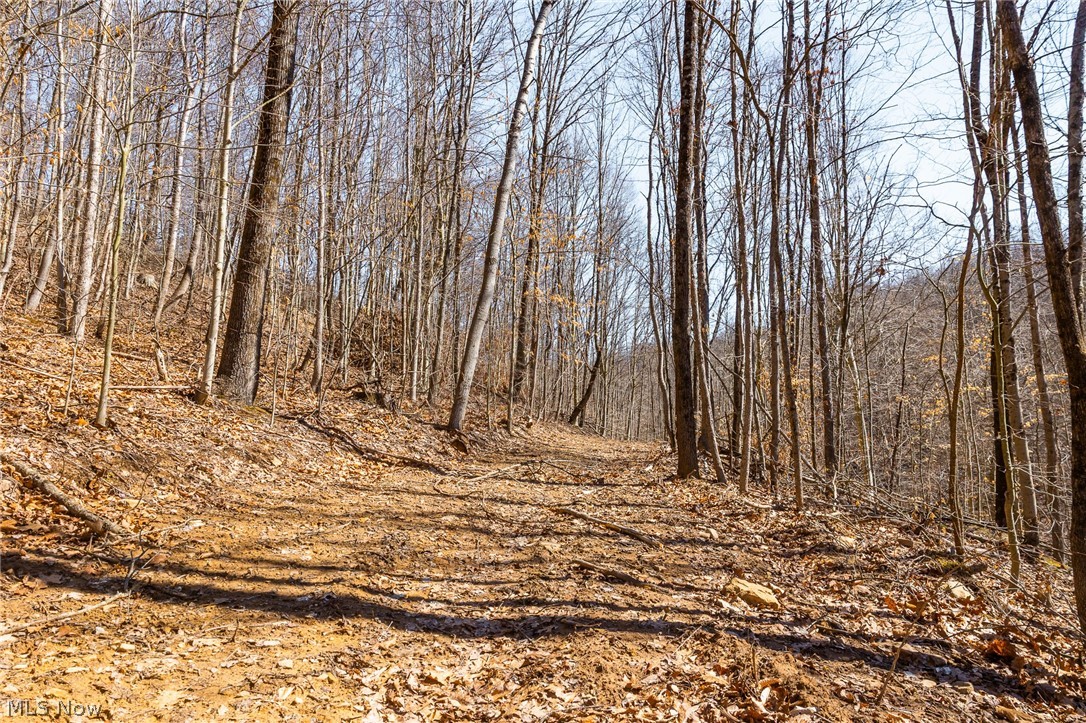 Sheepskin Ridge Road Lower Salem OH 45745