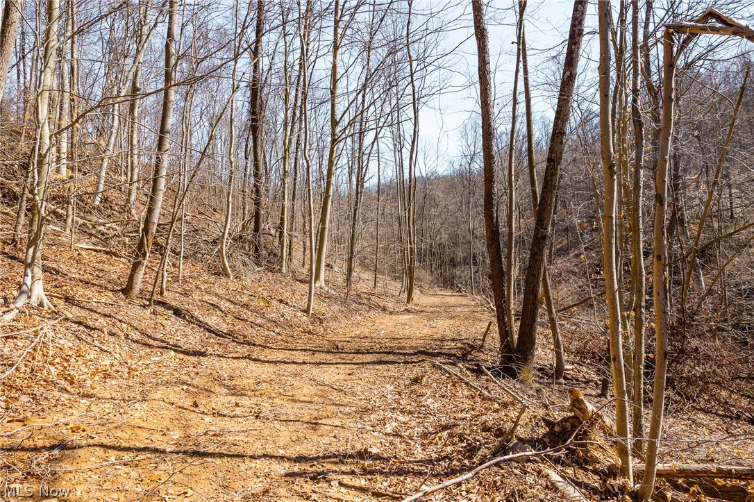 Sheepskin Ridge Road Lower Salem OH 45745
