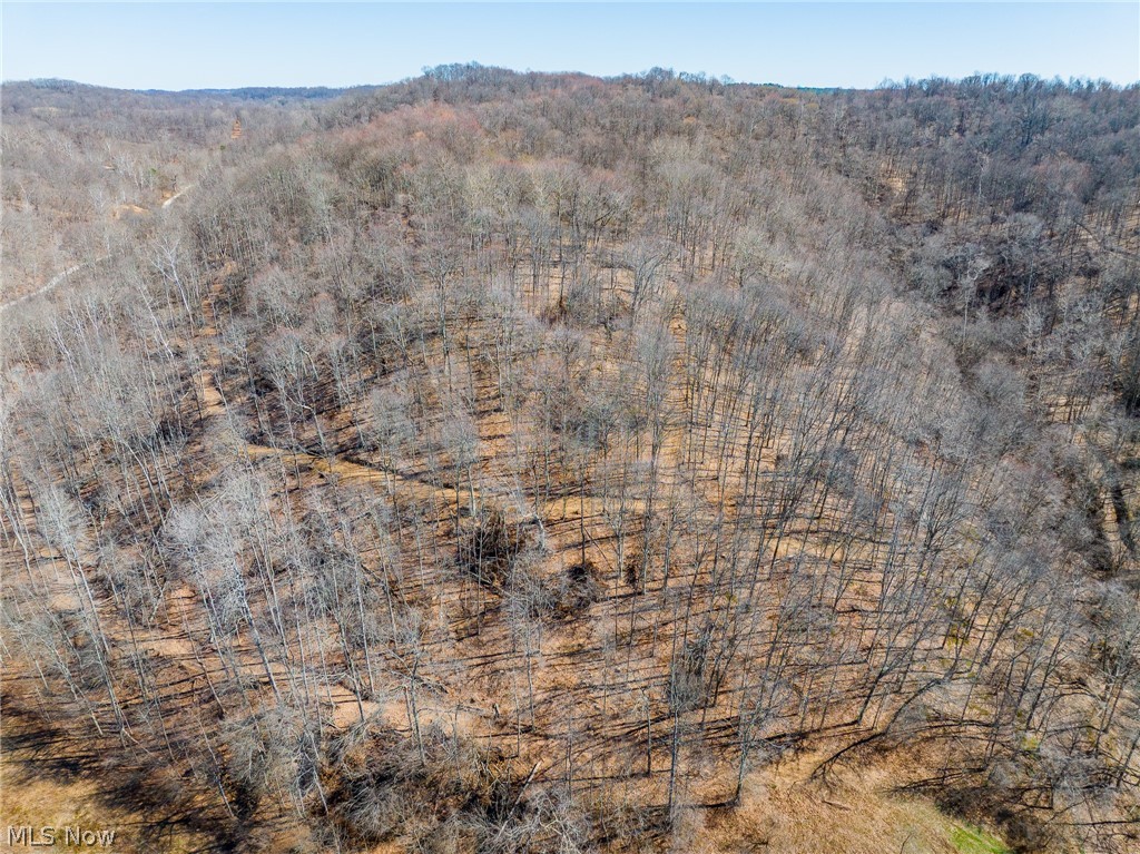 Sheepskin Ridge Road Lower Salem OH 45745