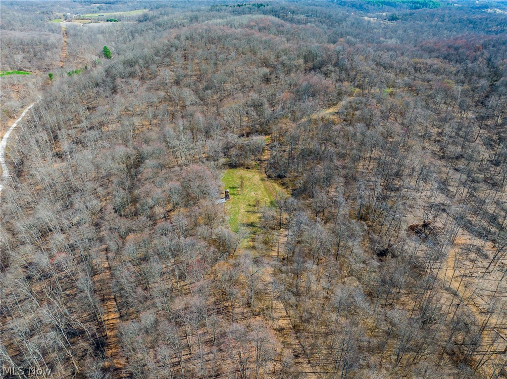 Sheepskin Ridge Road Lower Salem OH 45745