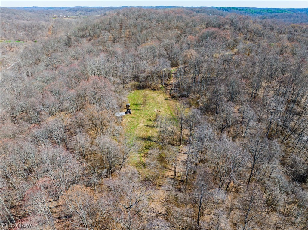 Sheepskin Ridge Road Lower Salem OH 45745