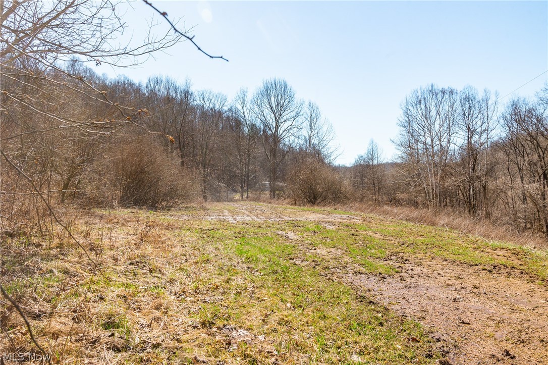 Sheepskin Ridge Road Lower Salem OH 45745