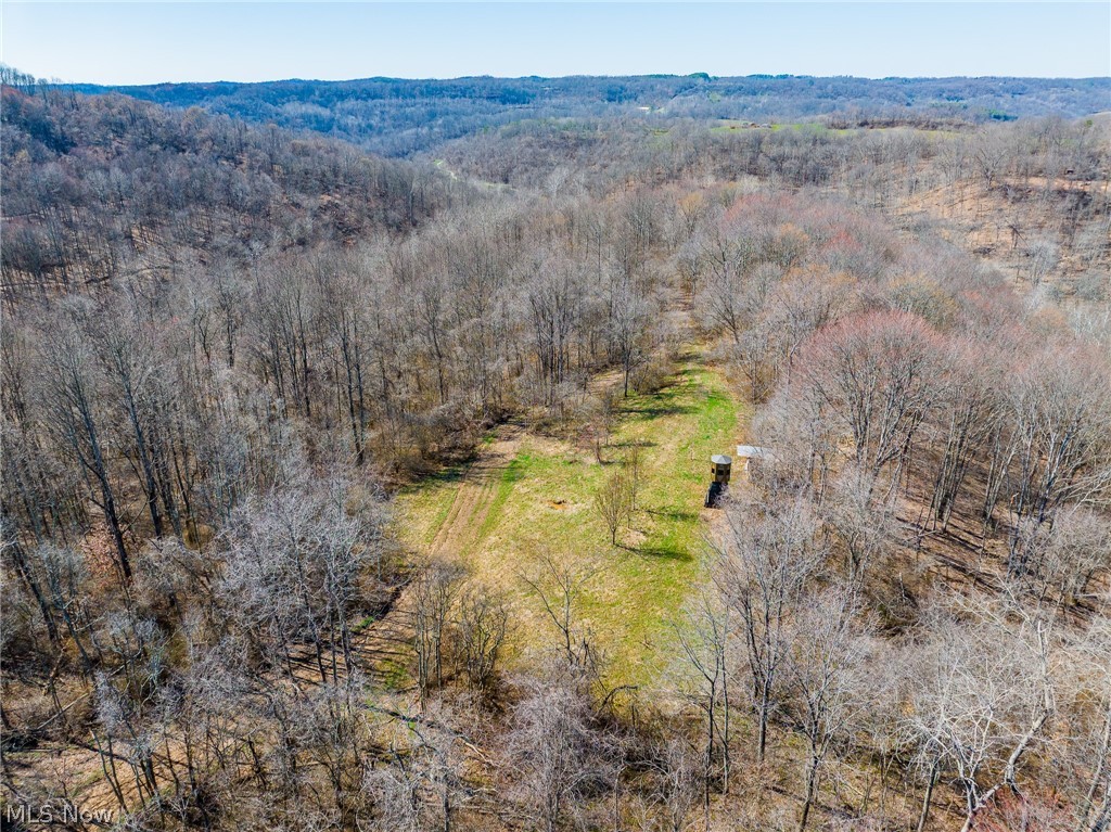 Sheepskin Ridge Road Lower Salem OH 45745