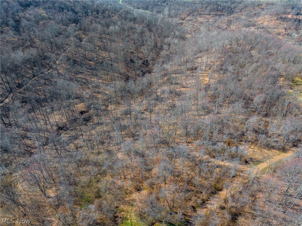 Sheepskin Ridge Road Lower Salem OH 45745