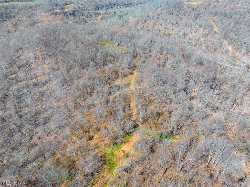 Sheepskin Ridge Road Lower Salem OH 45745