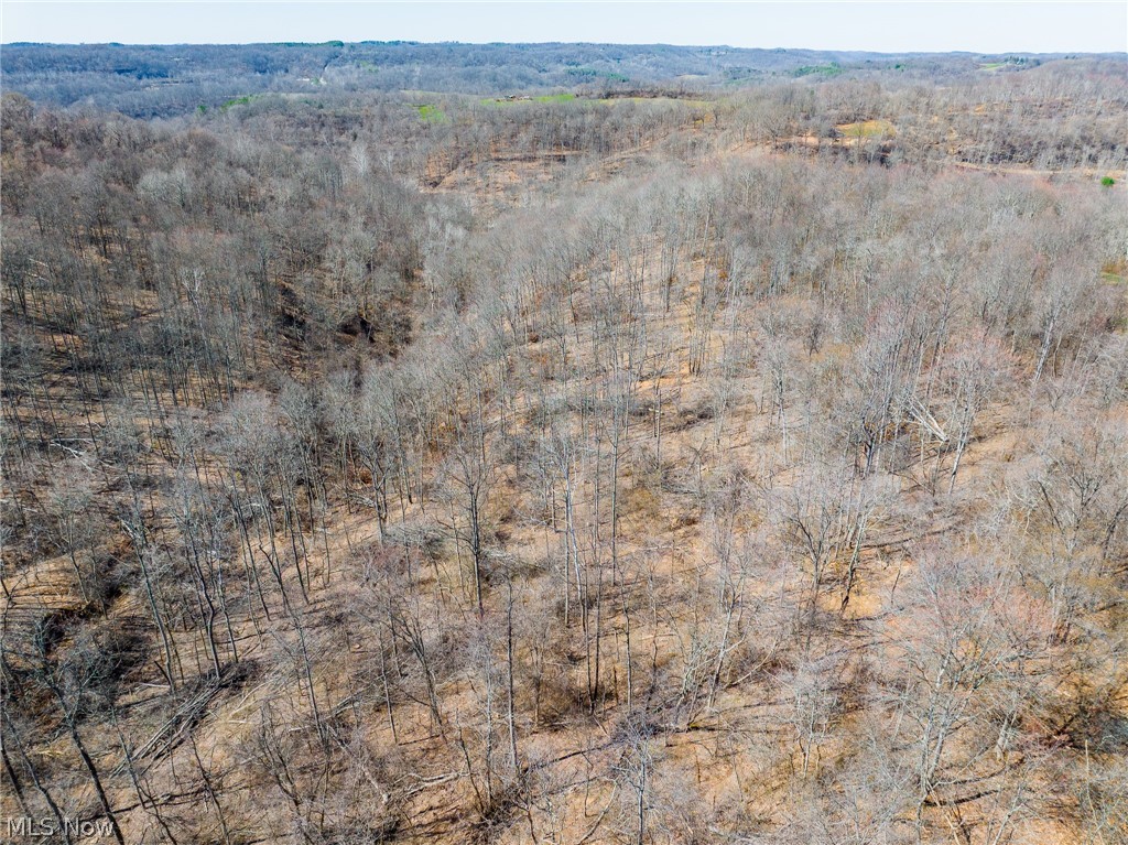 Sheepskin Ridge Road Lower Salem OH 45745