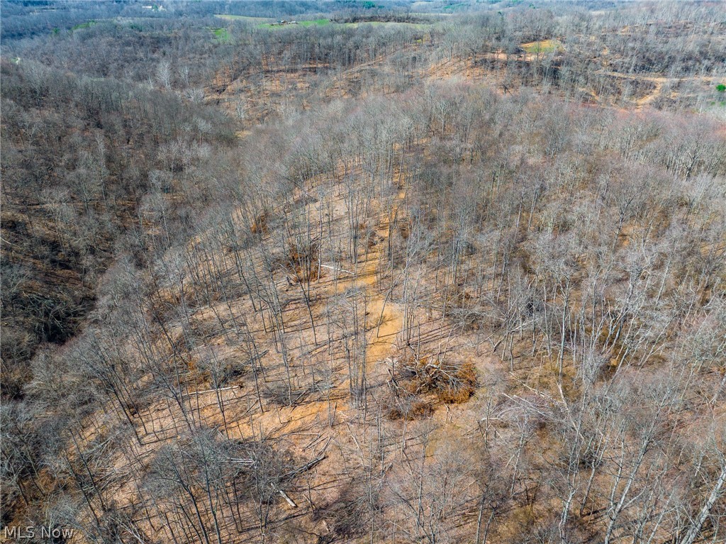 Sheepskin Ridge Road Lower Salem OH 45745