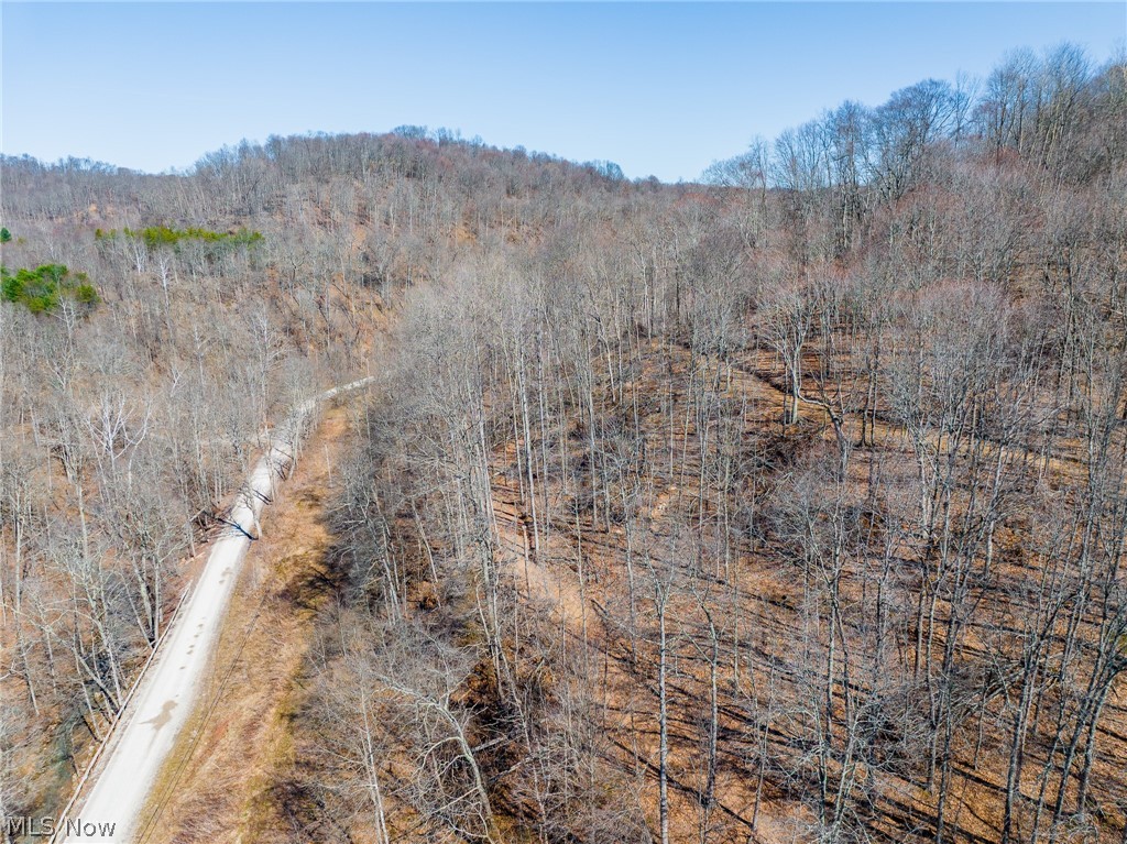 Sheepskin Ridge Road Lower Salem OH 45745
