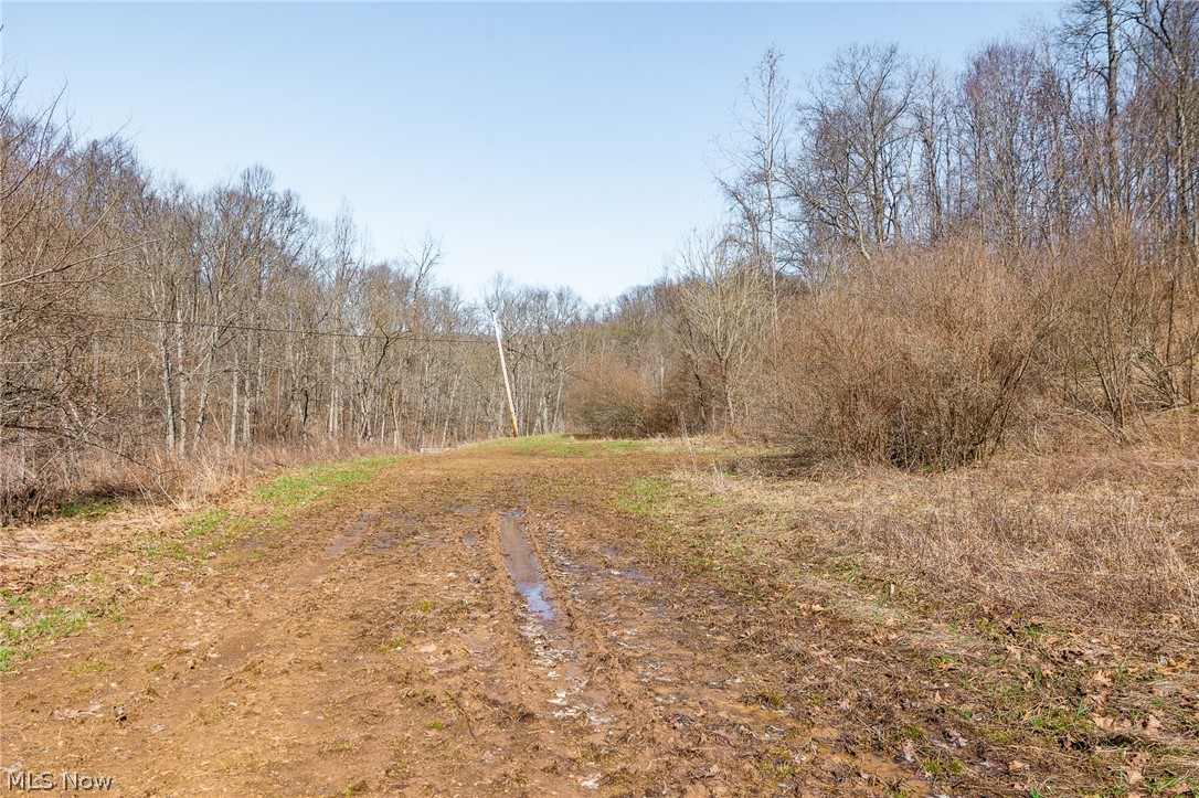 Sheepskin Ridge Road Lower Salem OH 45745