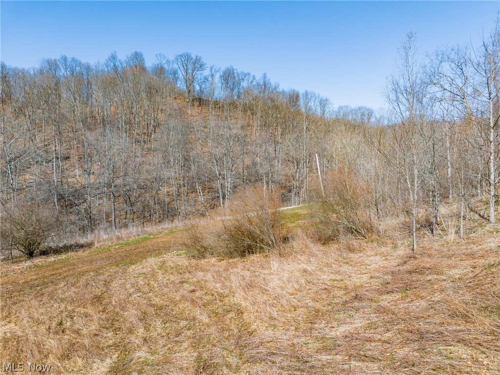 Sheepskin Ridge Road Lower Salem OH 45745