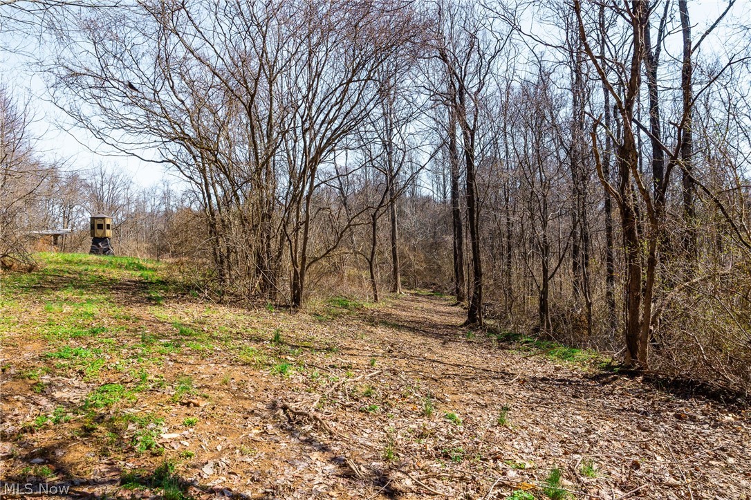 Sheepskin Ridge Road Lower Salem OH 45745