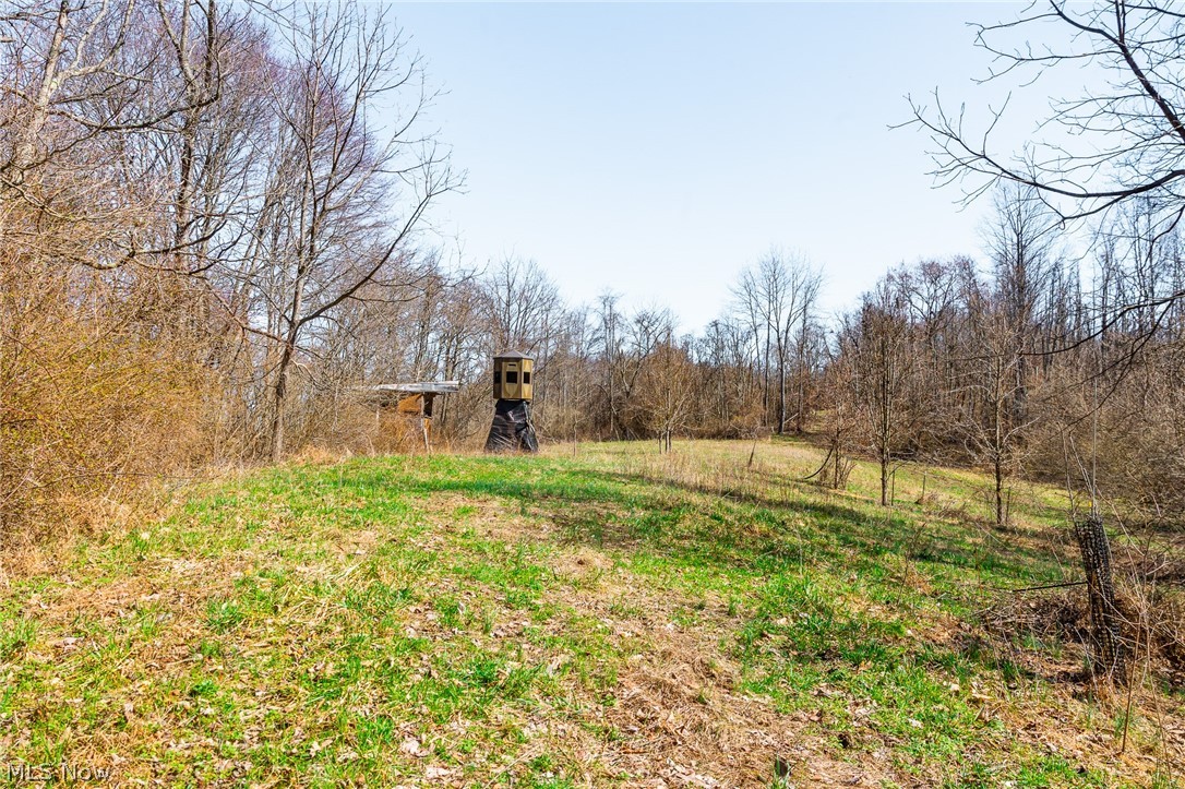 Sheepskin Ridge Road Lower Salem OH 45745