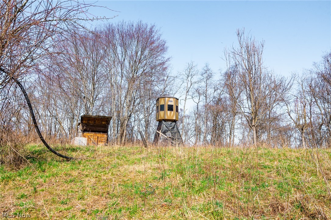 Sheepskin Ridge Road Lower Salem OH 45745