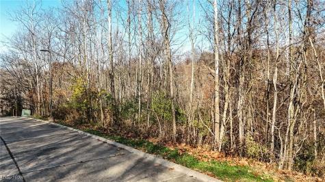 Lot #6 Mountain Laurel Drive Marietta OH 45750