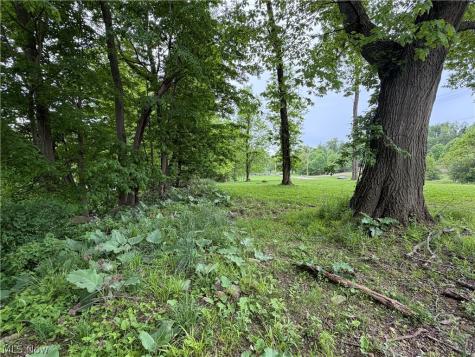 9098 Diagonal Road Streetsboro OH 44241