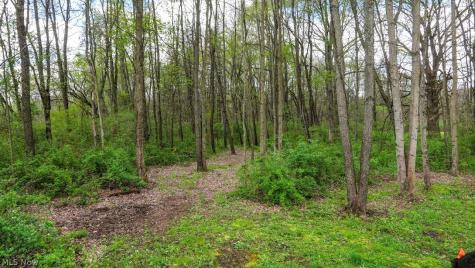 10088 Knowlton Road Garrettsville OH 44231