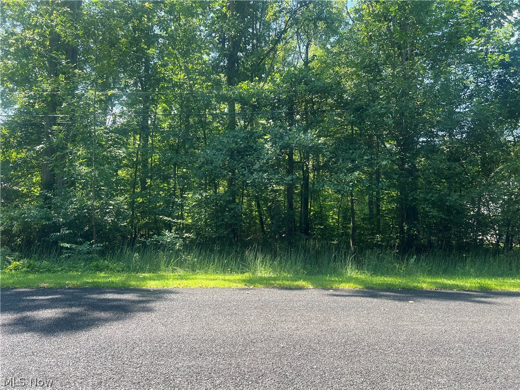 618 Oriole Drive Roaming Shores OH 44084