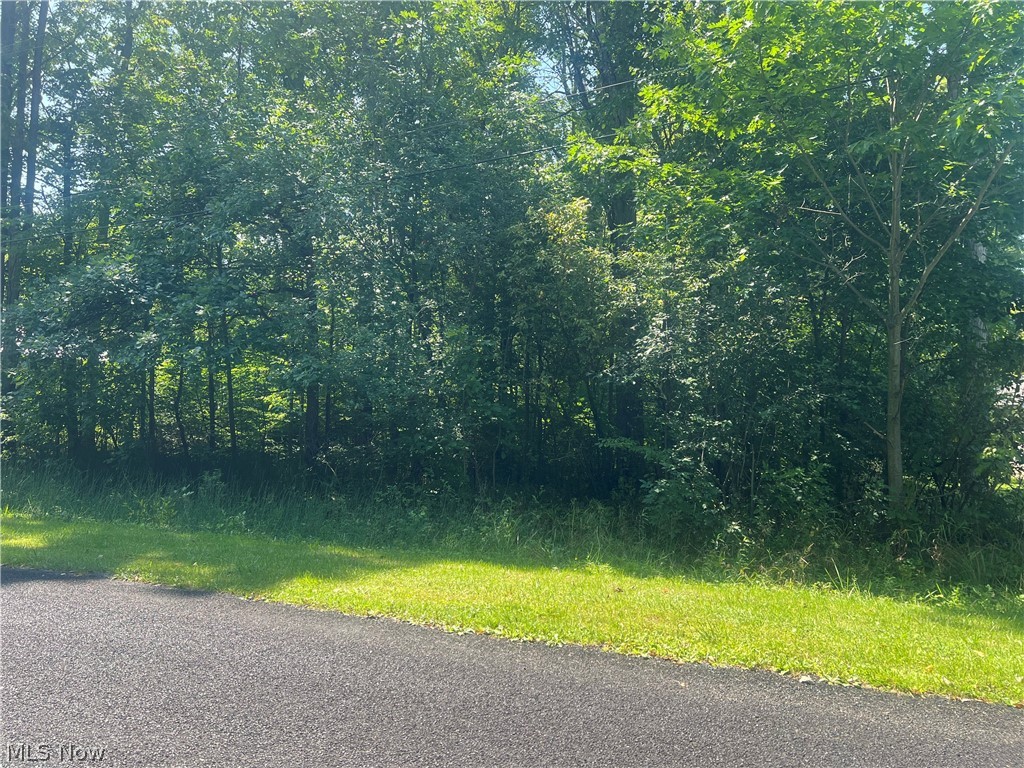 618 Oriole Drive Roaming Shores OH 44084