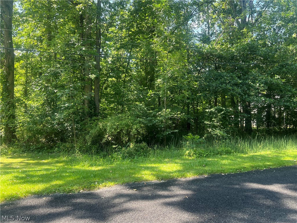 618 Oriole Drive Roaming Shores OH 44084
