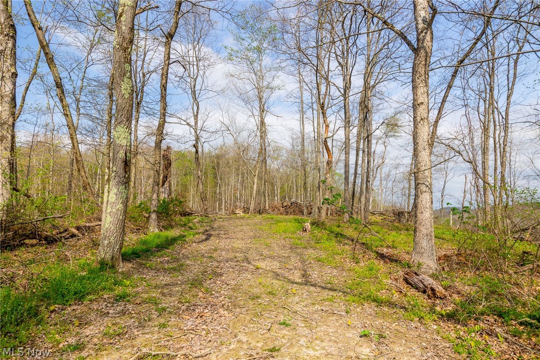 0 Twp Rd 63 Deans Fork Road Whipple OH 45788