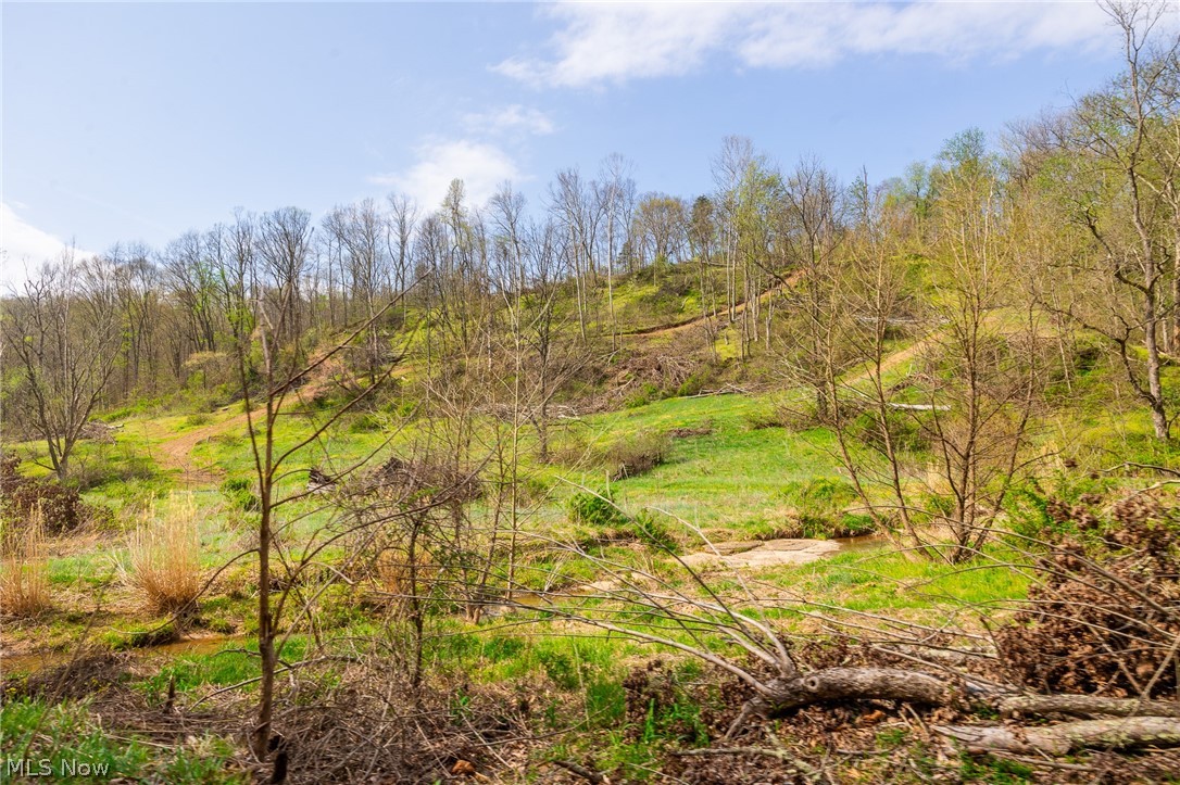 0 Twp Rd 63 Deans Fork Road Whipple OH 45788