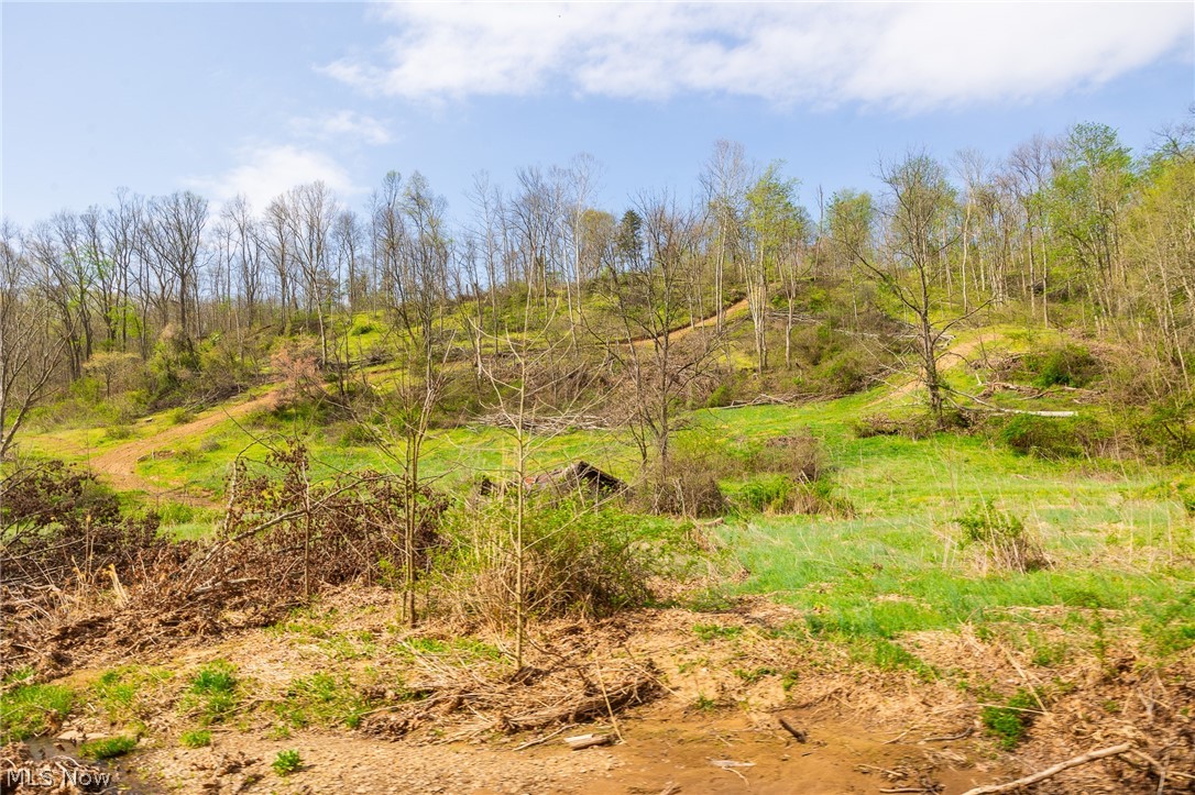0 Twp Rd 63 Deans Fork Road Whipple OH 45788