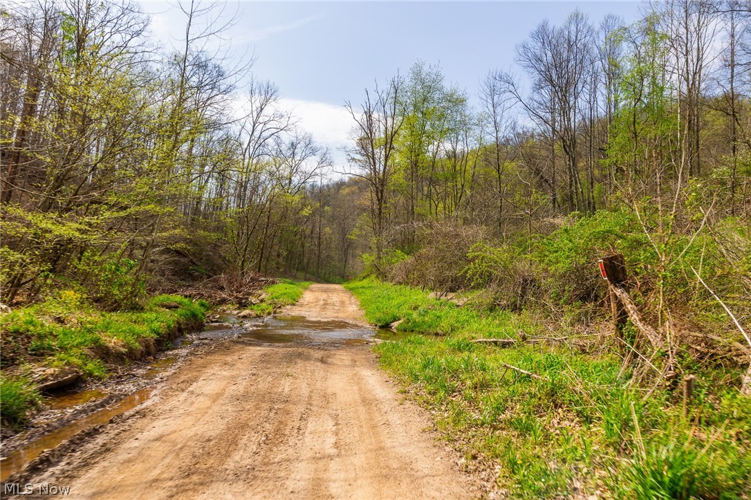 0 Twp Rd 63 Deans Fork Road Whipple OH 45788