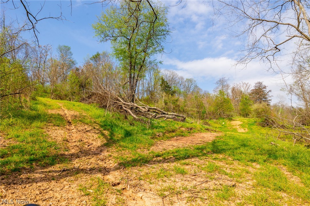0 Twp Rd 63 Deans Fork Road Whipple OH 45788