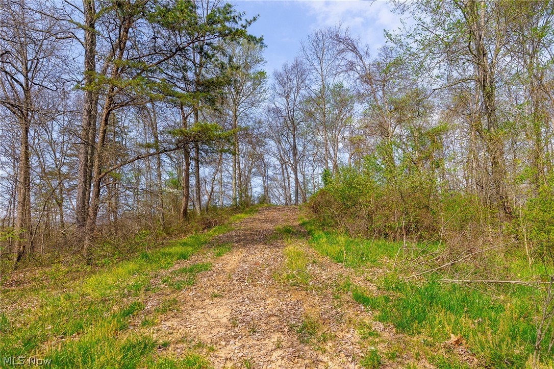 0 Twp Rd 63 Deans Fork Road Whipple OH 45788