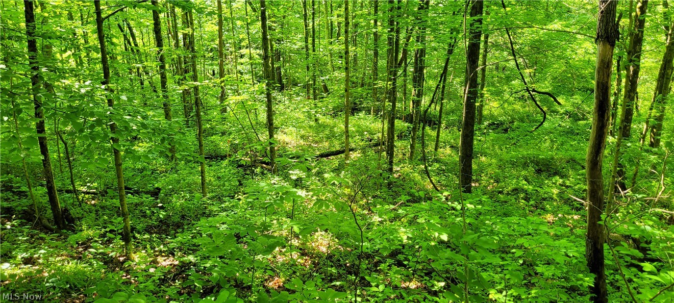 Hollis Clark Road Caldwell OH 43724