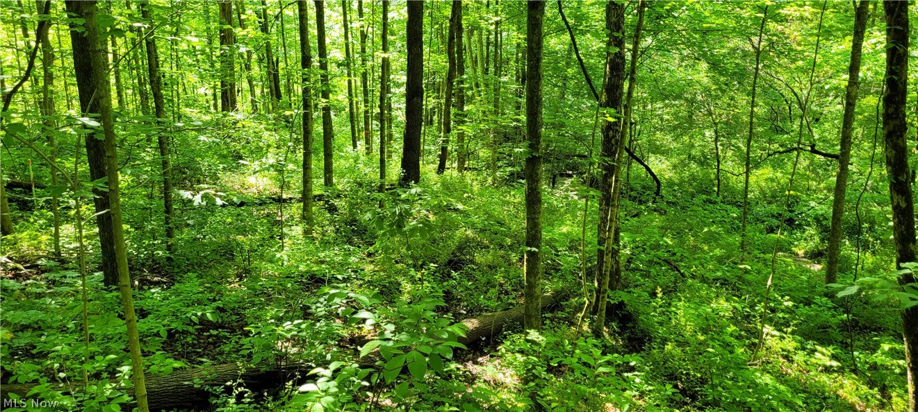 Hollis Clark Road Caldwell OH 43724