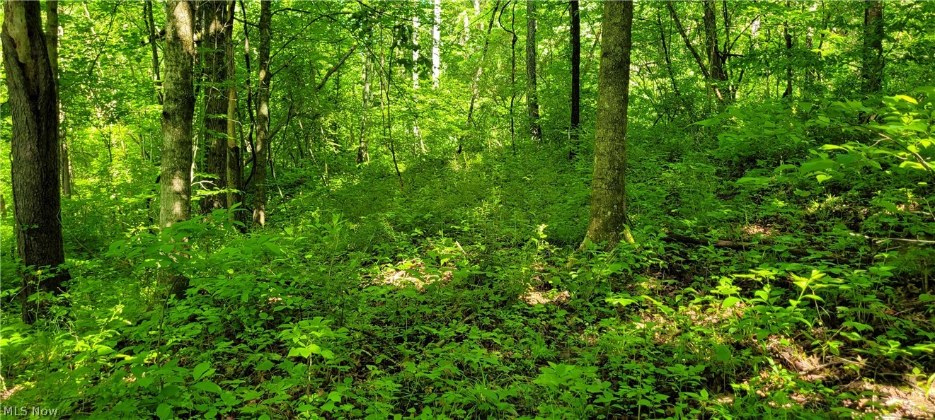Hollis Clark Road Caldwell OH 43724