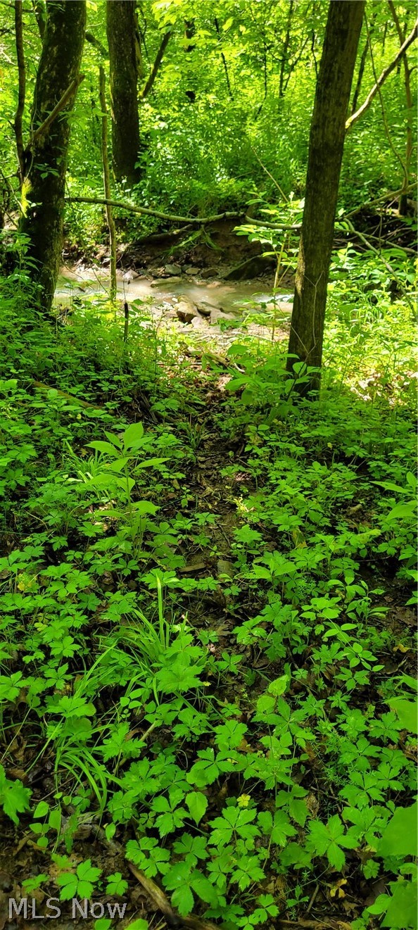 Hollis Clark Road Caldwell OH 43724