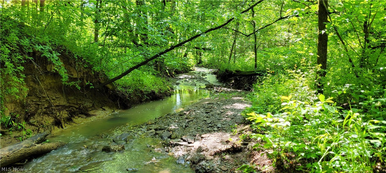 Hollis Clark Road Caldwell OH 43724