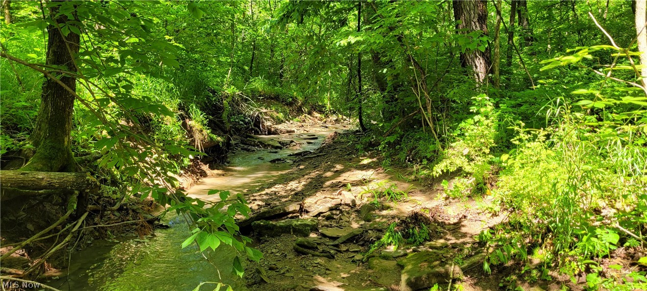 Hollis Clark Road Caldwell OH 43724