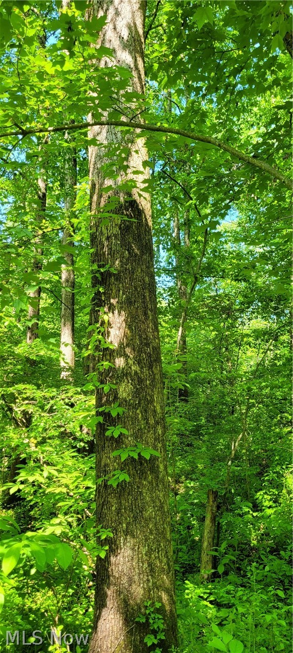Hollis Clark Road Caldwell OH 43724