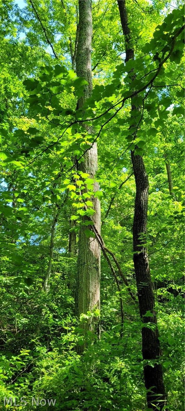 Hollis Clark Road Caldwell OH 43724