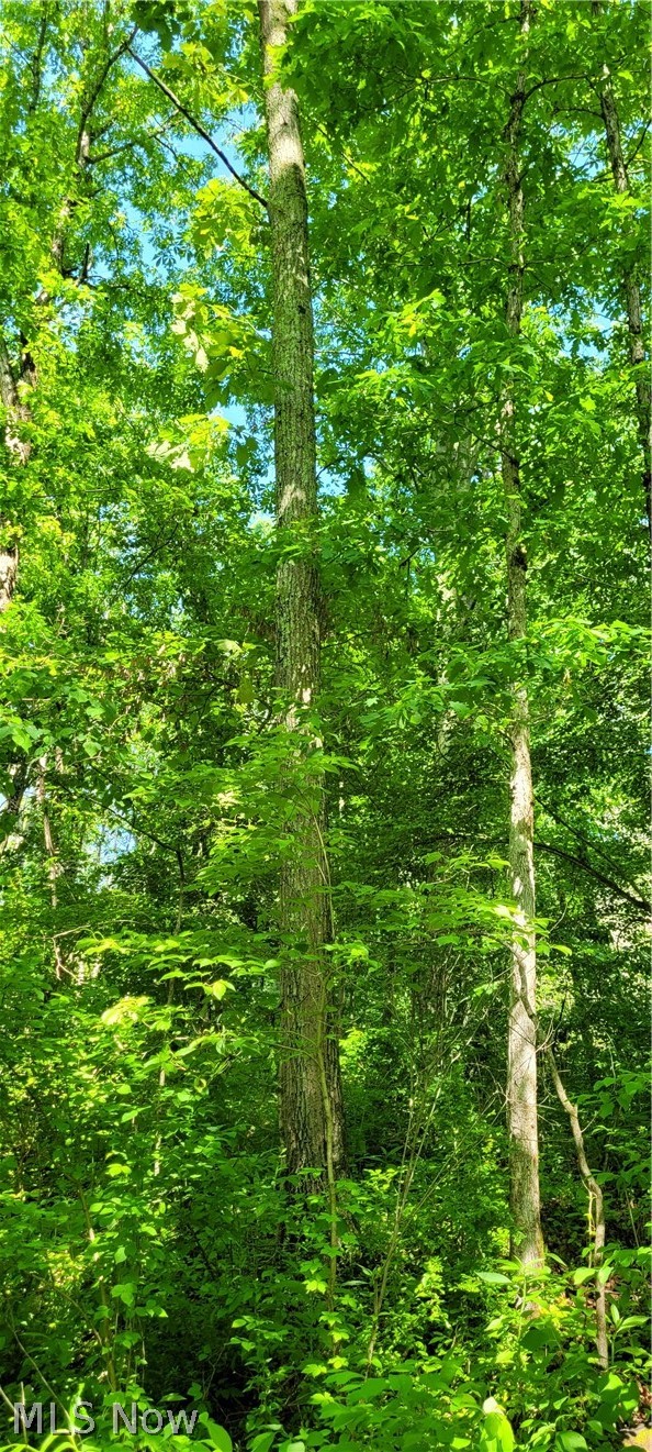 Hollis Clark Road Caldwell OH 43724