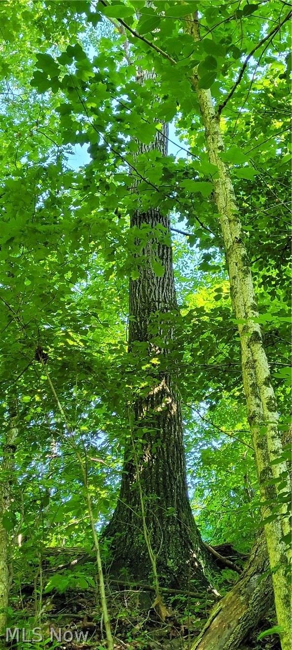 Hollis Clark Road Caldwell OH 43724