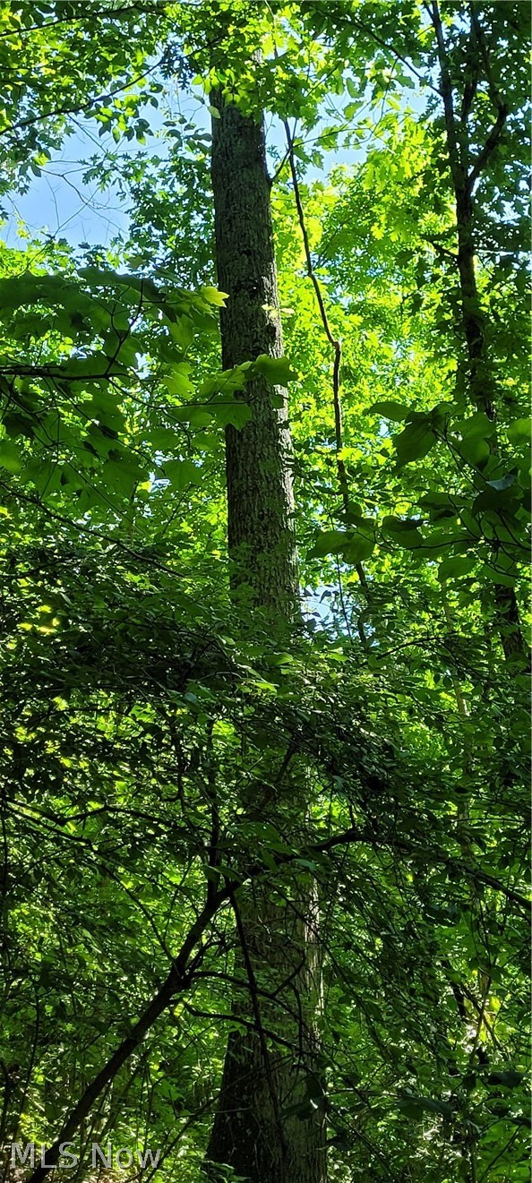 Hollis Clark Road Caldwell OH 43724