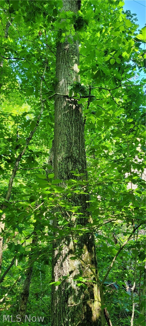 Hollis Clark Road Caldwell OH 43724
